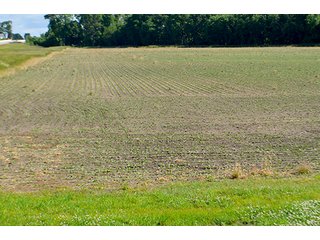 Property photo 32 - FARM & LAND AUCTION - 125+/- ACRES OFFERED IN 5 TRACTS IN EAST ALLEN COUNTY, INDIANA
